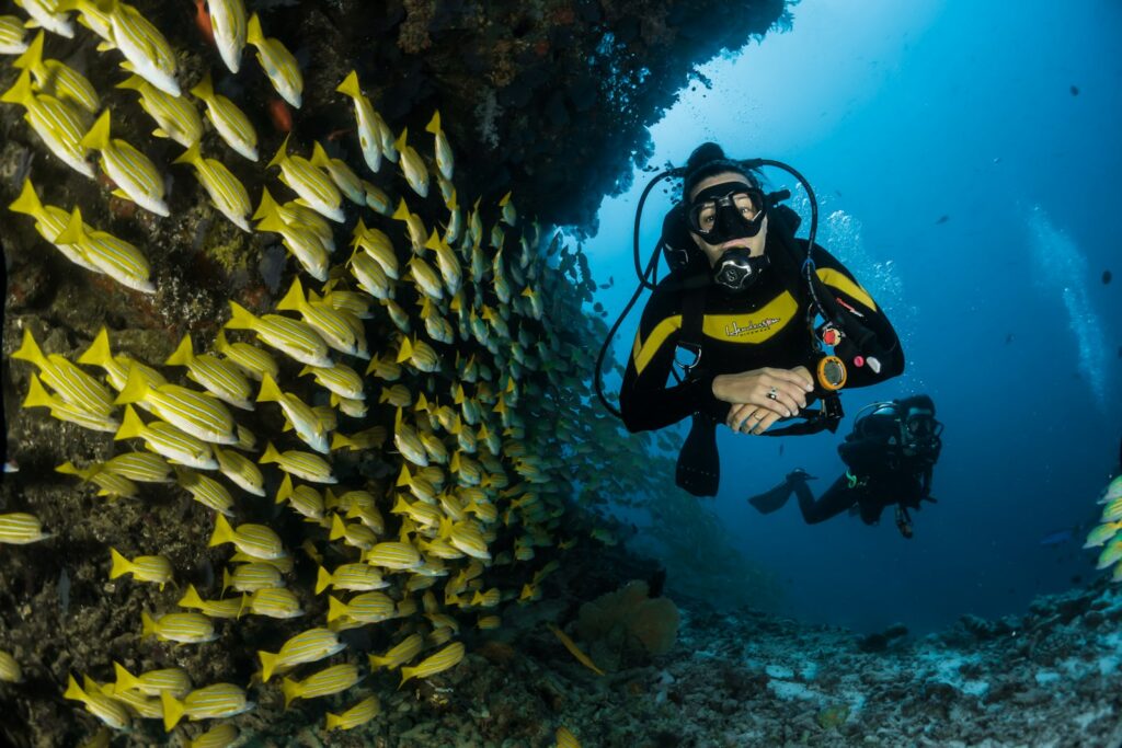 Snorkelling the Blue Hole Without a Guide