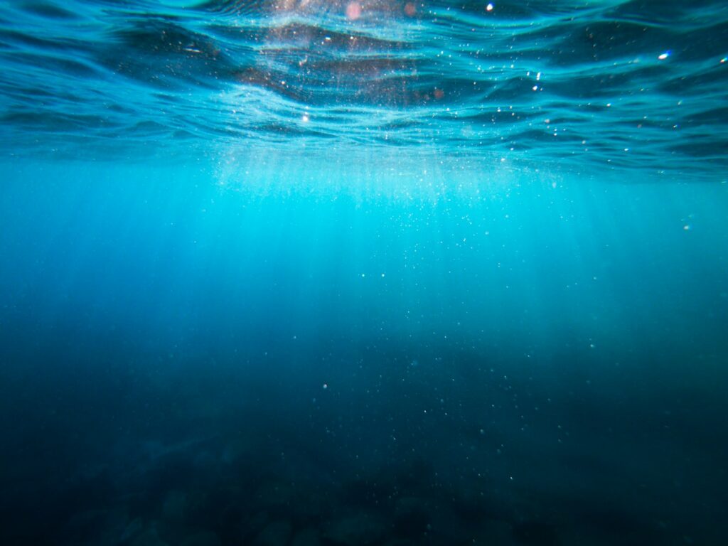 Your First Week of Freediving