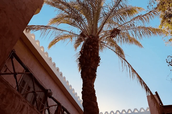 Alf Leila Boutique Hotel view 3