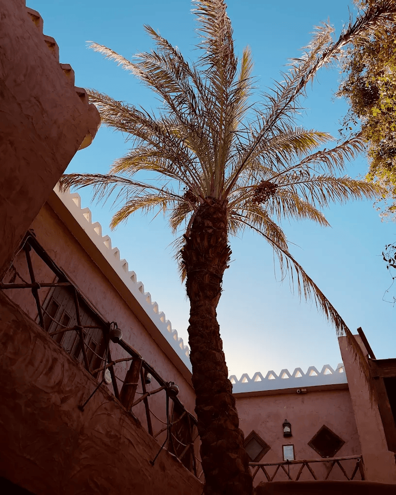 Alf Leila Boutique Hotel photo 3