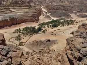 الكانيون الملون، الكانيون الأبيض، عين خضرة، صخرة المشروم — صورة 2