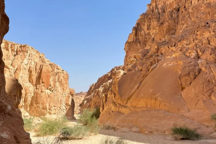 الكانيون الملون، الكانيون الأبيض، عين خضرة، صخرة المشروم — صورة 4