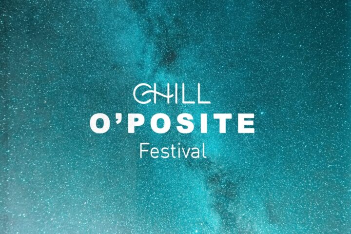 مهرجان تشيل أوبوزيت – اليوم الأول — صورة 1