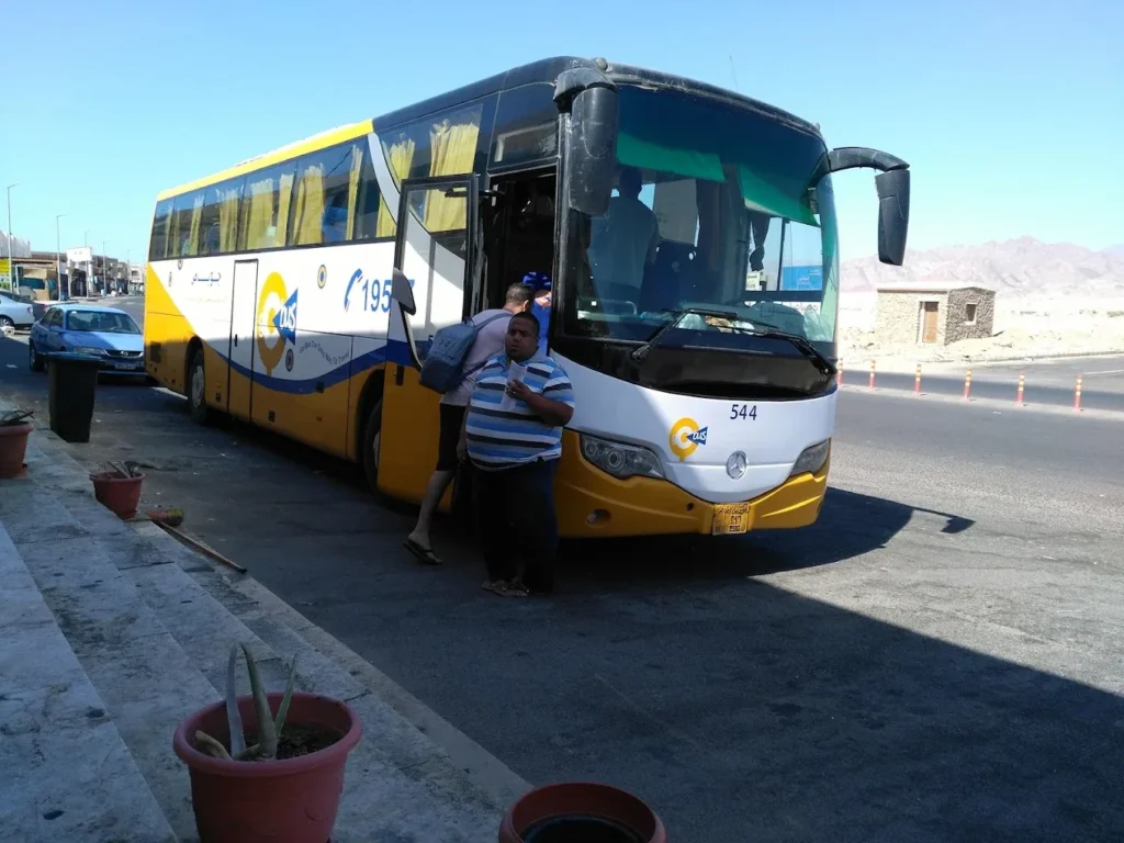 Go Bus photo 2