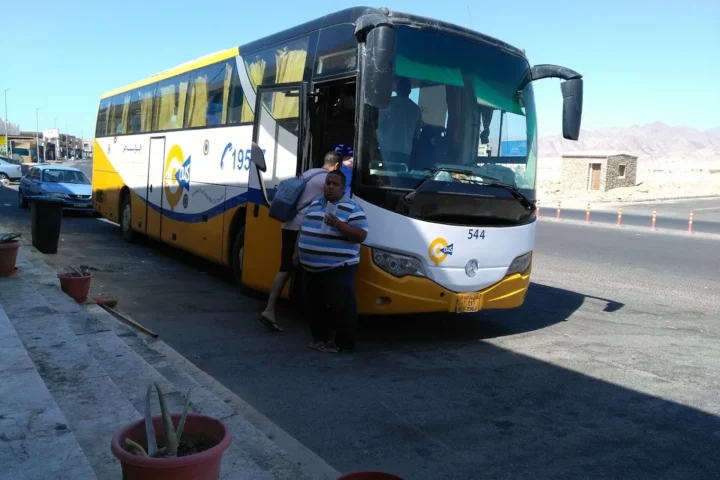 Go Bus photo 2