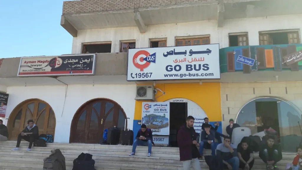 Go Bus photo 3
