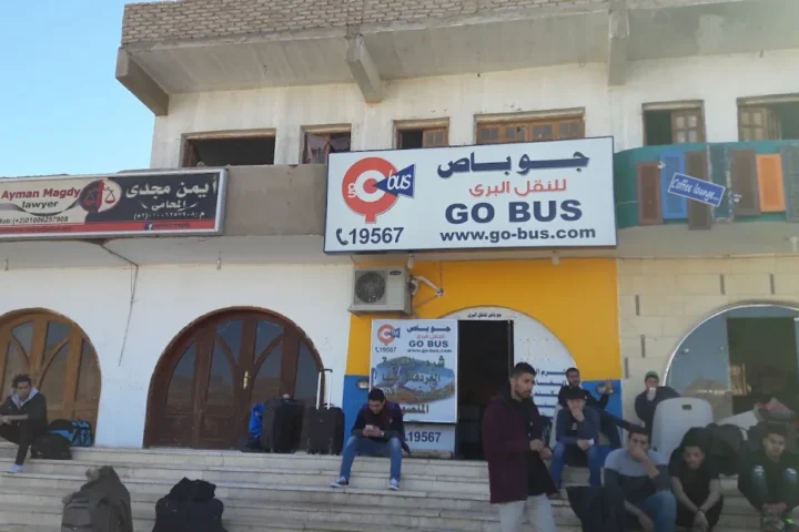 Go Bus photo 3