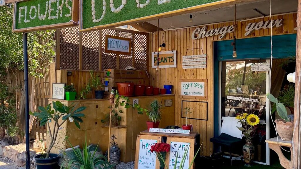 Dahab Do Detox photo 2