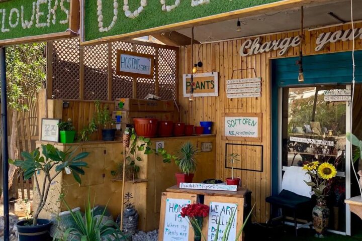 Dahab Do Detox photo 2