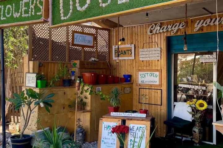 Dahab Do Detox view 2