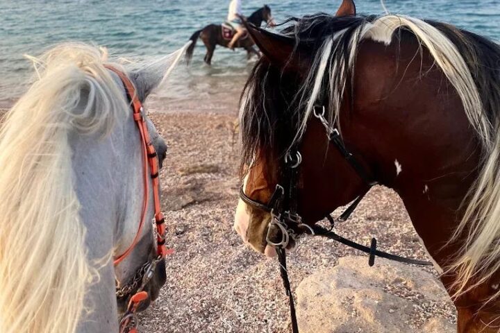 Dahab Horse Riding view 1