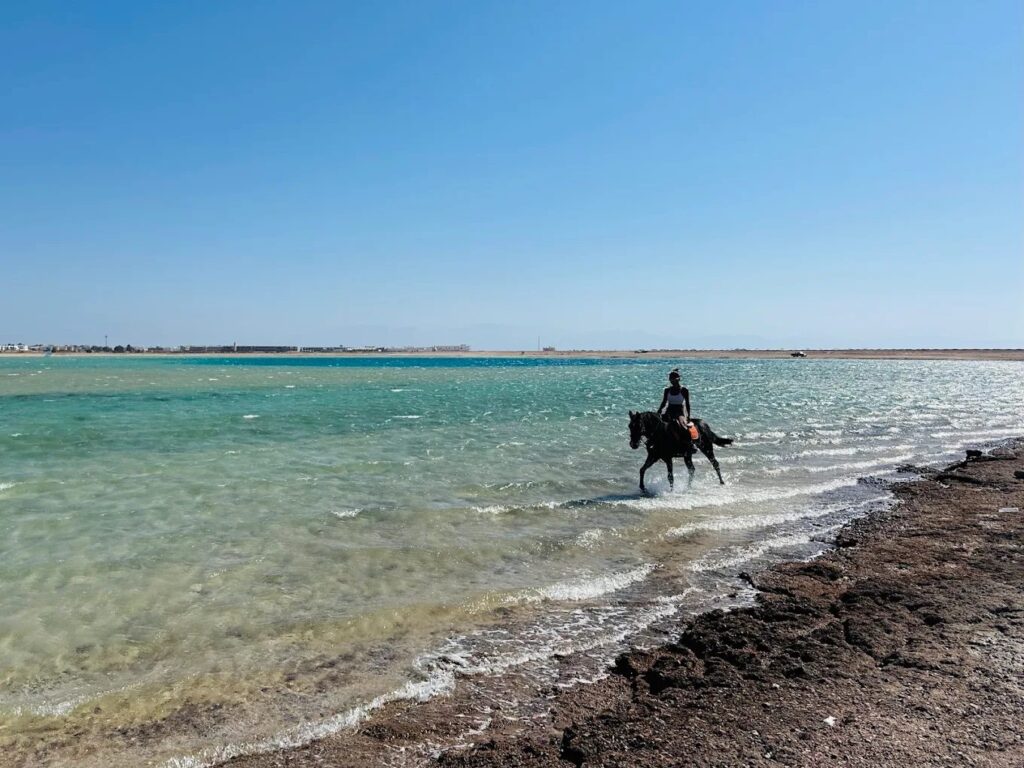 Dahab Horse Riding photo 2
