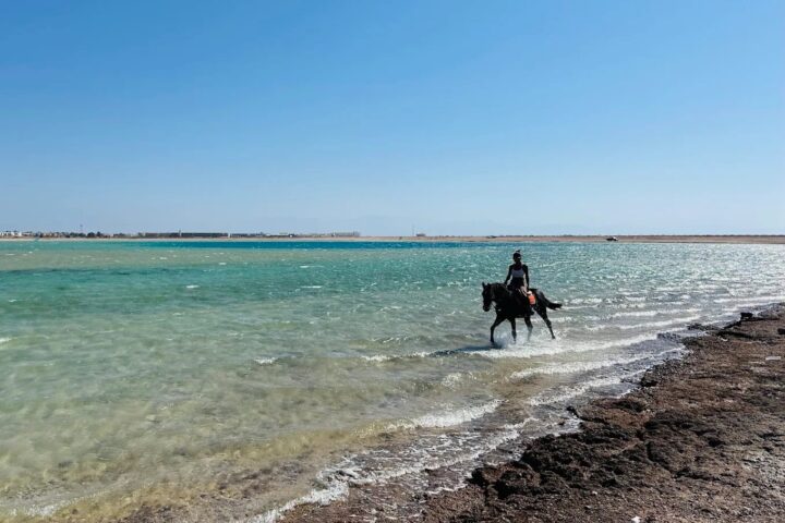 Dahab Horse Riding view 2