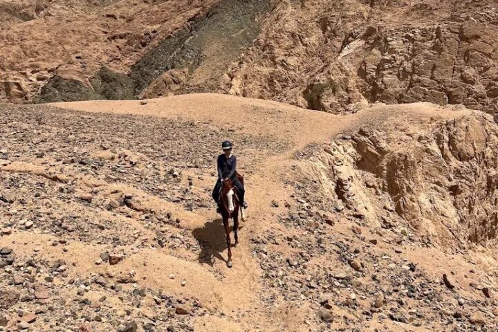 Dahab Horse Riding view 3