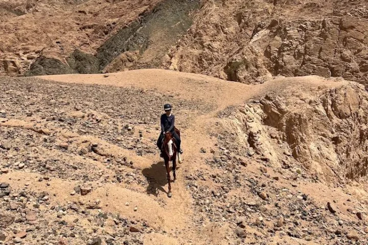 دهب لركوب الخيل — منظر 3