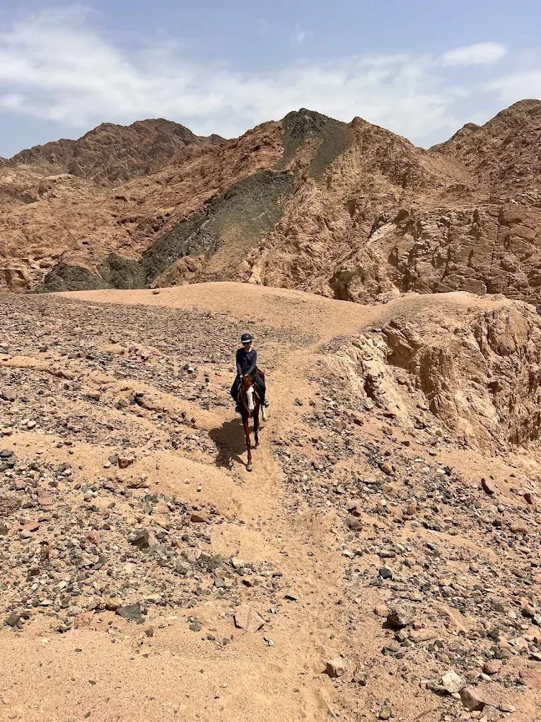 دهب لركوب الخيل — صورة 3