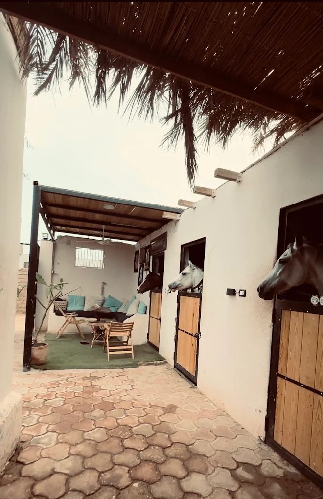 Dahab Horse Riding photo 4