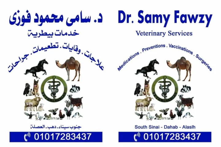 د. سامي فوزي — منظر 1