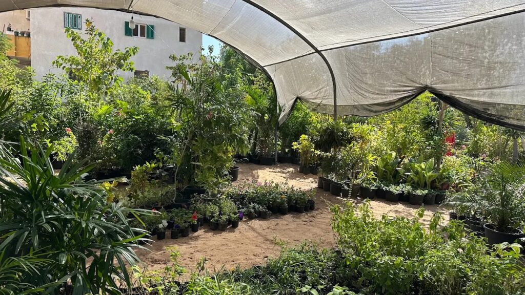 Habiba Garden Center photo 3