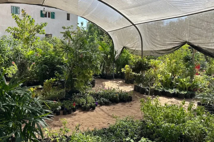 Habiba Garden Center view 3
