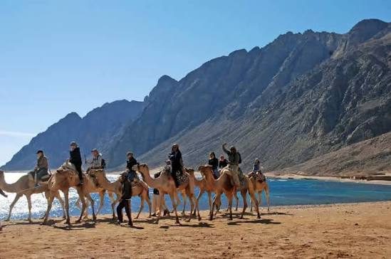 Nader – Camel Riding view 2
