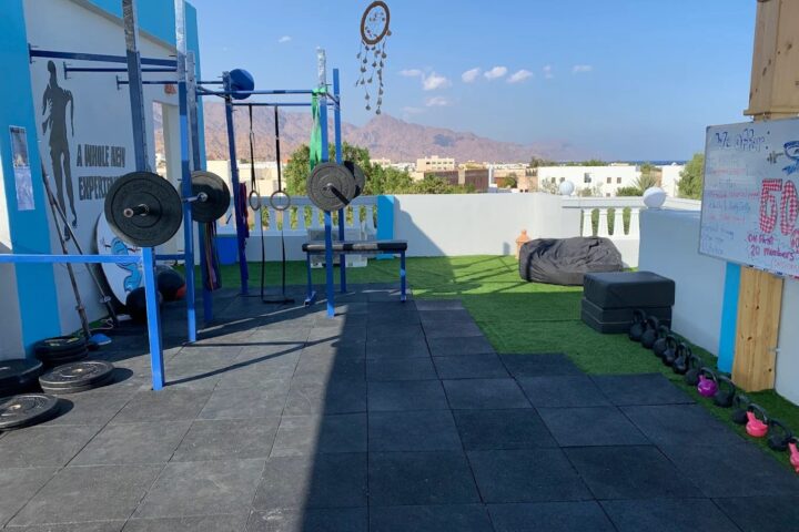 Sharkfit Gym view 1