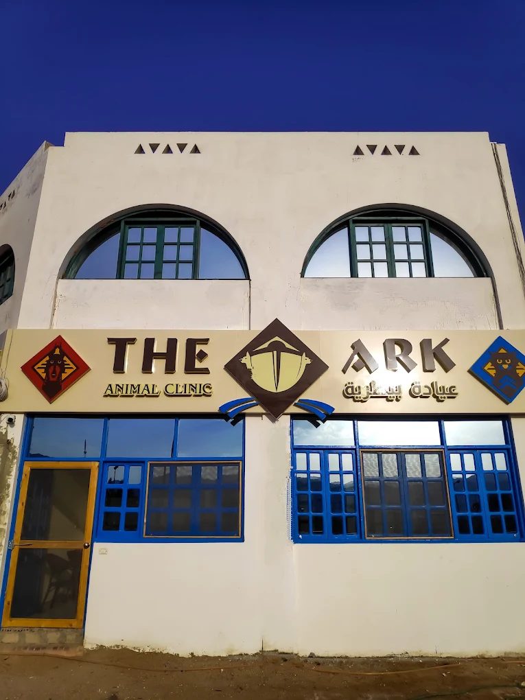 The Ark Animal Clinic photo 3
