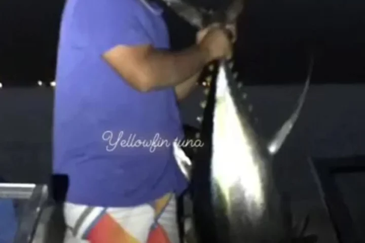 مينا — صورة 1