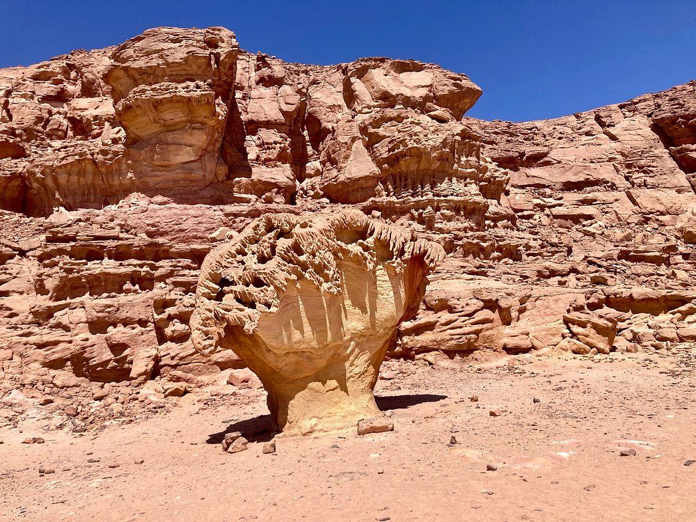 الكانيون الملون، الكانيون الأبيض، عين خضرة، صخرة المشروم — صورة 2