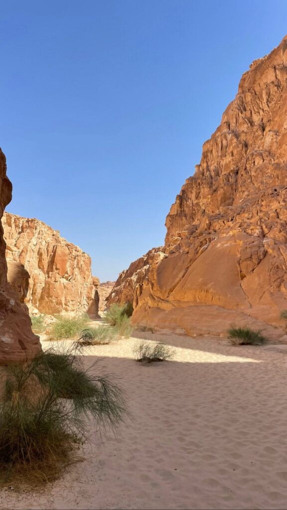 الكانيون الملون، الكانيون الأبيض، عين خضرة، صخرة المشروم — صورة 3