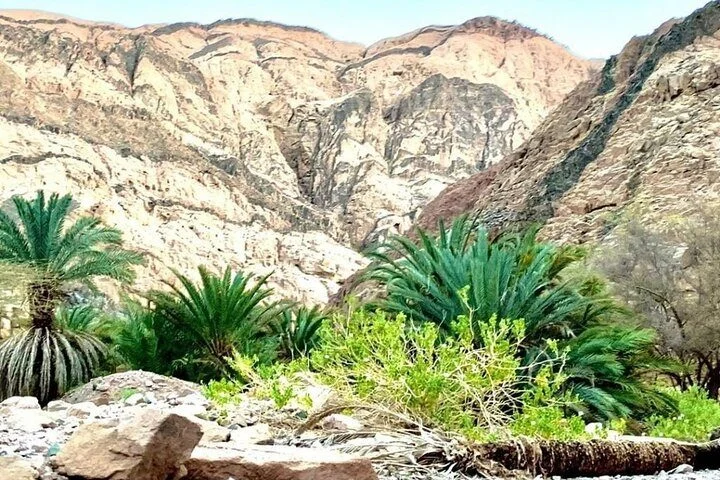 Wadi Gnai Camping view 1