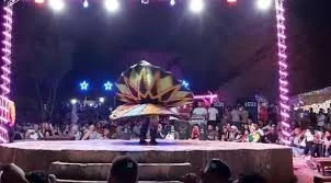 Wadi Tuwailat Bedouin/Fire show/Oriental dance Party view 1