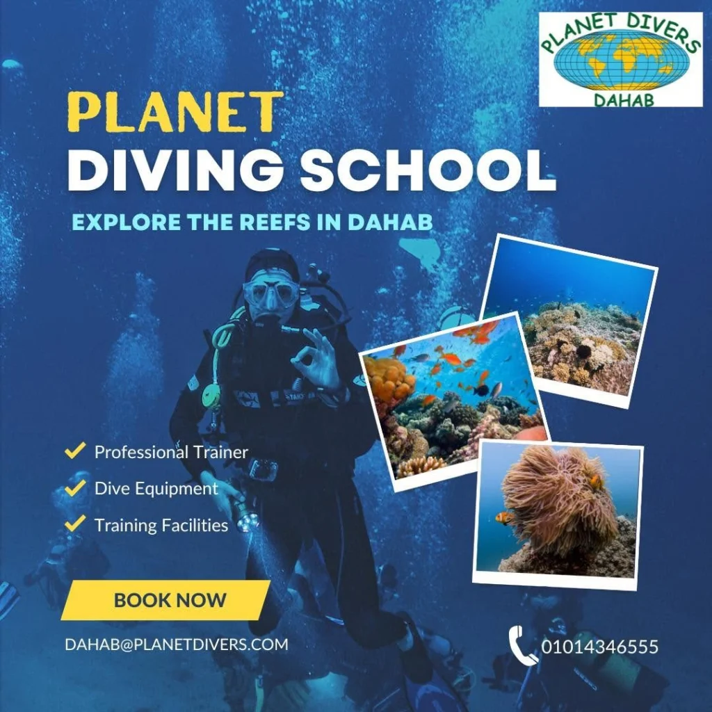 Planet Divers Dahab photo 5