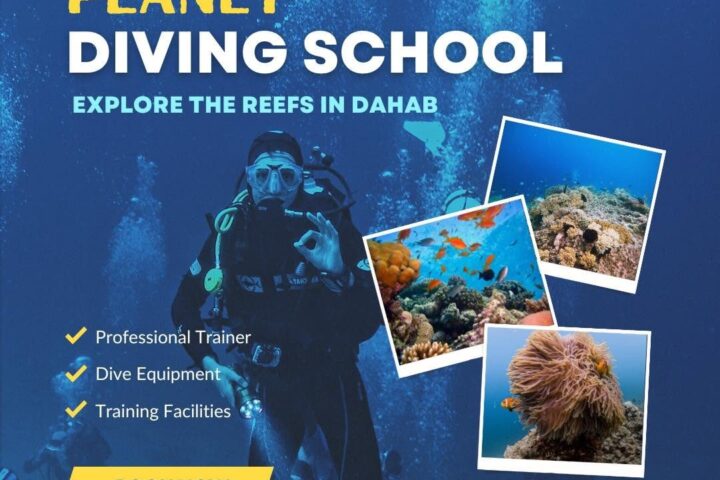 Planet Divers Dahab view 5