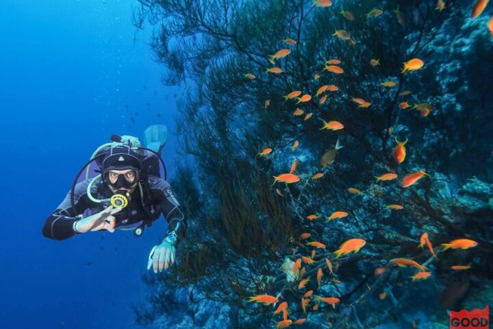 Planet Divers Dahab view 3