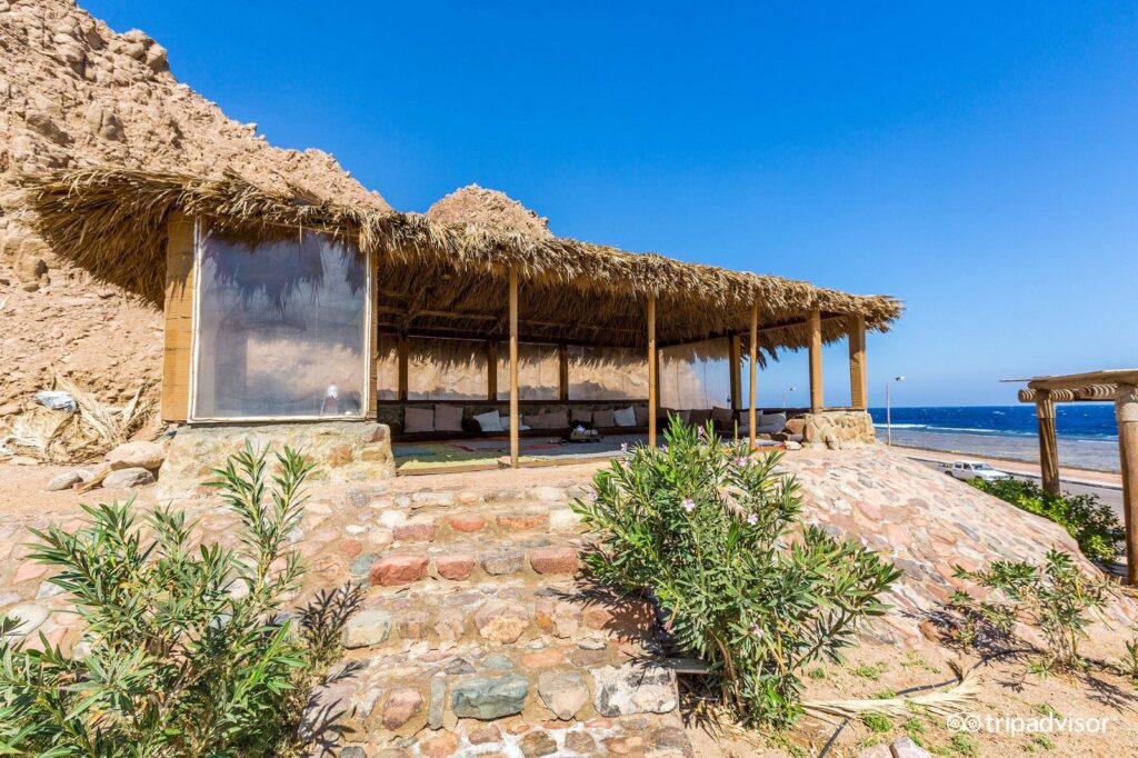 Dahab Paradise Restaurant photo 4