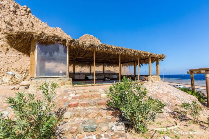 Dahab Paradise Restaurant photo 4