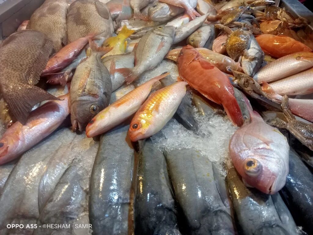 Darwish Fishmarket photo 3
