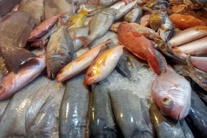 Darwish Fishmarket photo 3