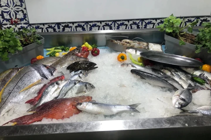 Darwish Fishmarket view 4