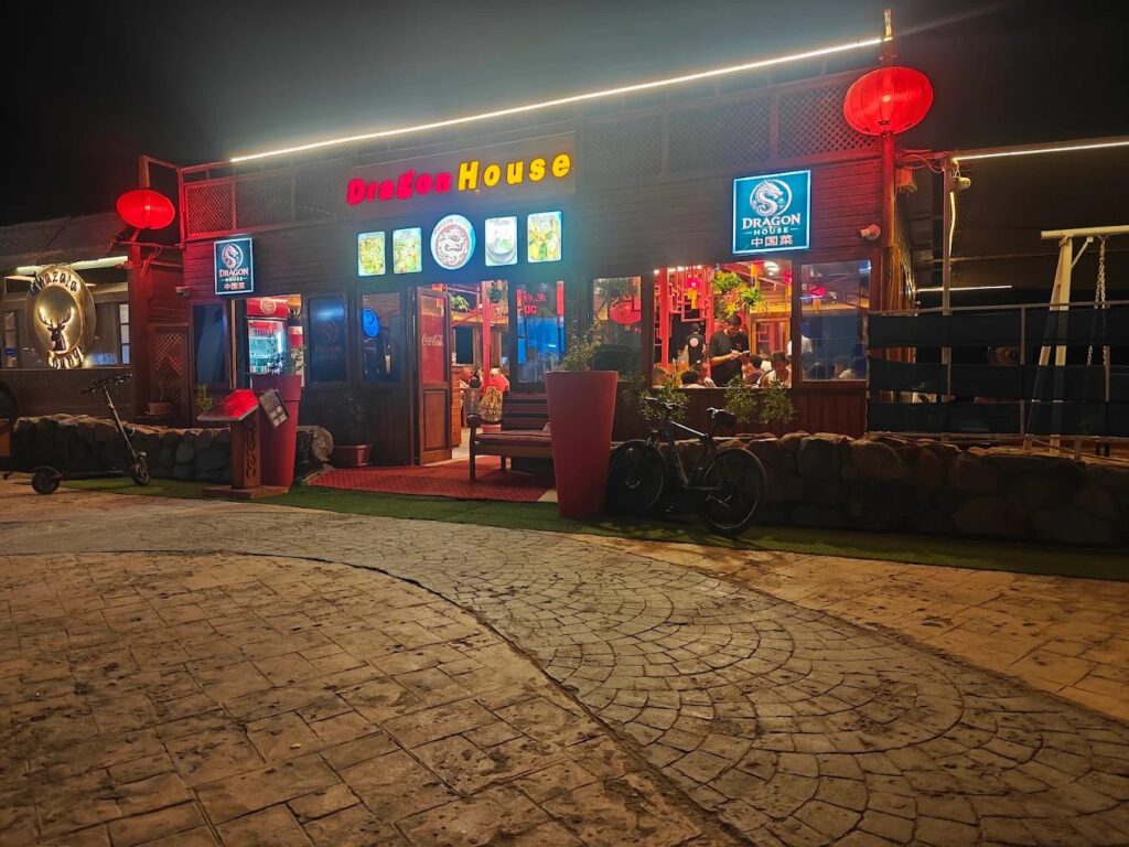 Dragon house