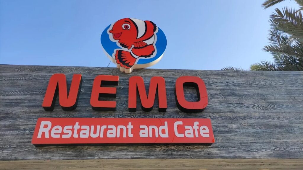 Nemo photo 2
