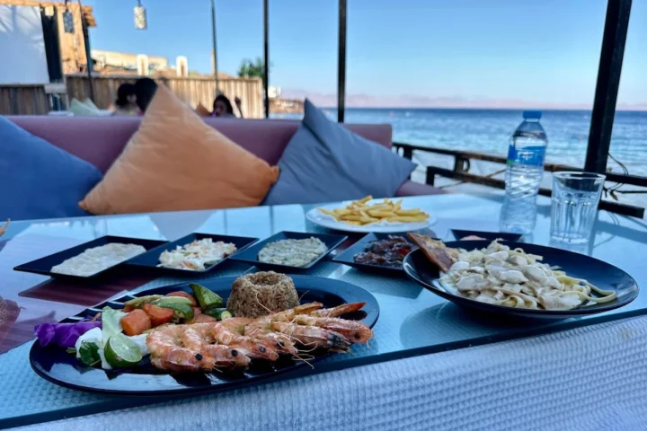 نيمو — صورة 3