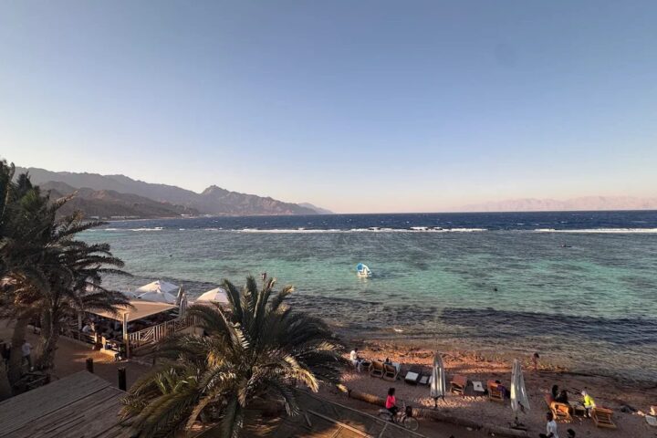 ساردا كوفي ستوب — صورة 1