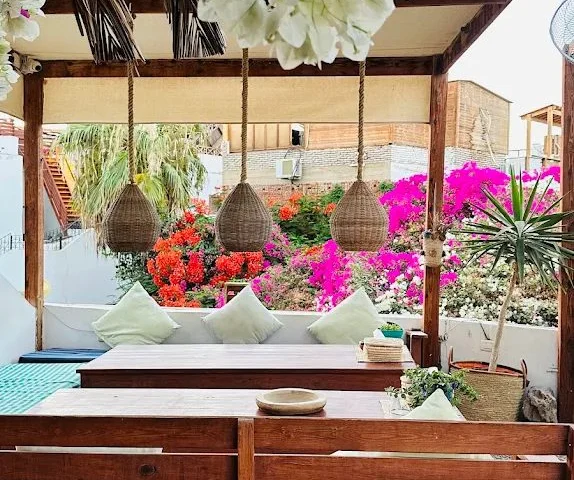 سيدكشن — صورة 2