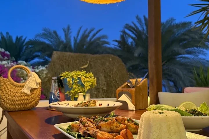 سيدكشن — صورة 6