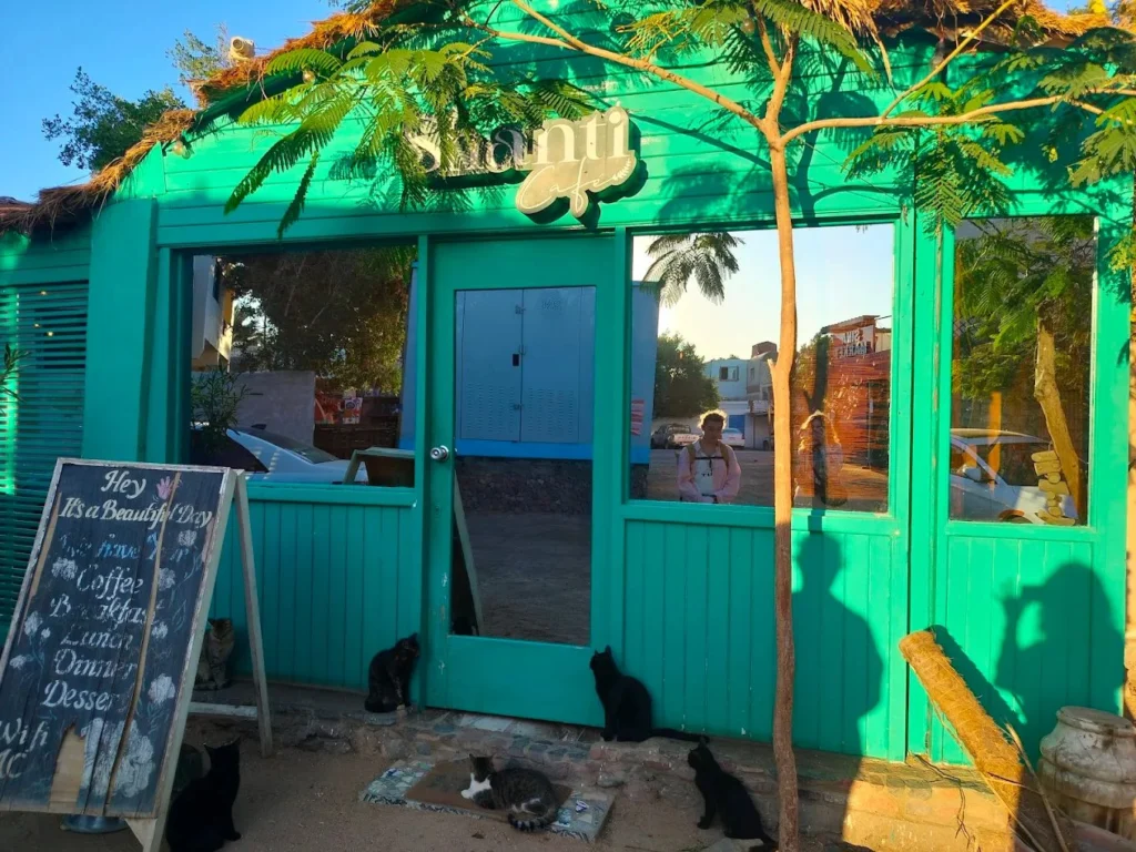 Shanti Garden Restaurant & Cafe photo 5