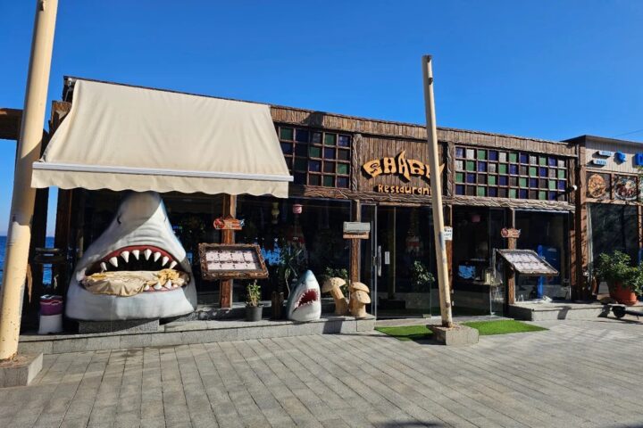 Shark Restaurant view 1