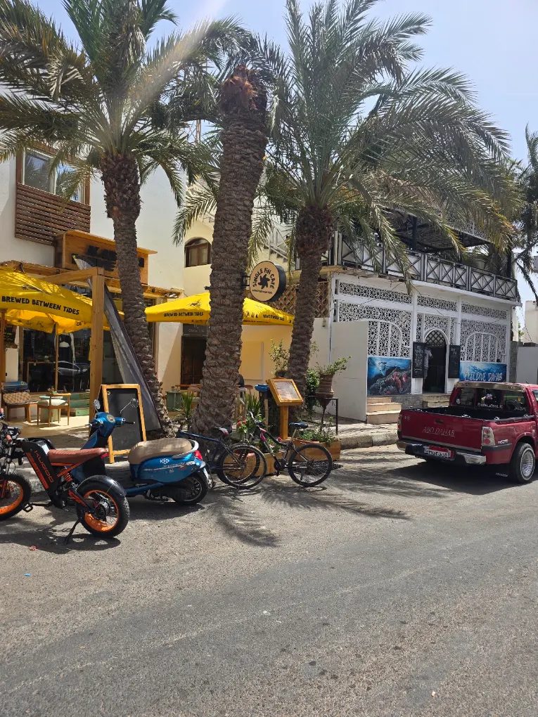 Single Fin Cafe