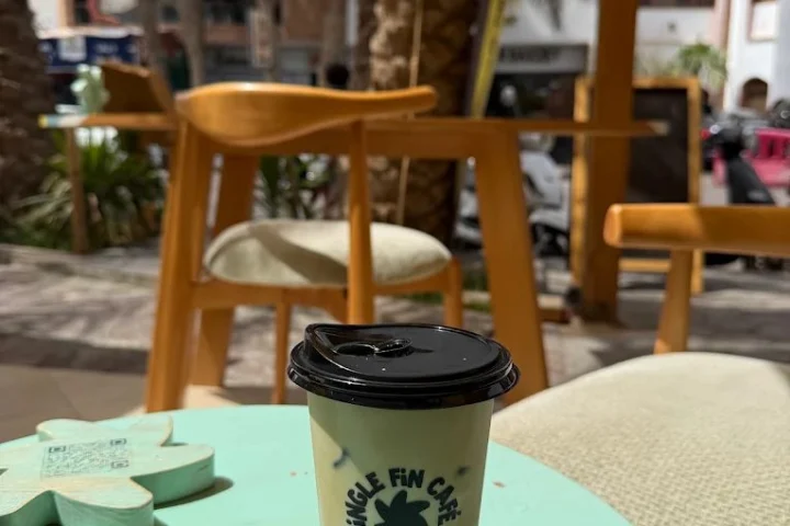 Single Fin Cafe view 3